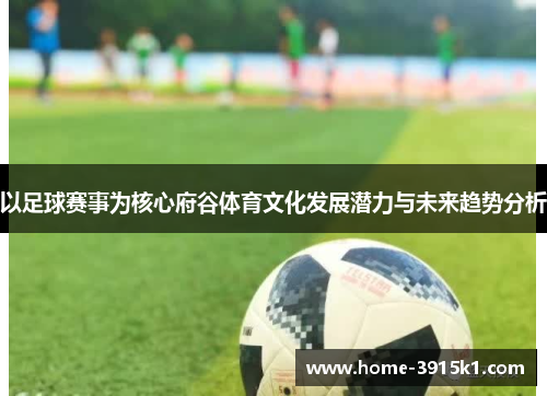 以足球赛事为核心府谷体育文化发展潜力与未来趋势分析